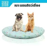ราคา พร้อมส่ง. KJ ที่นอนแมว ที่นอนสุนัข เบาะรองนอนสัตว์เลี้ยง ขนาด 60 cm Pet Mat naju ที่นอนหมา เบาะนอนสุนัข เบาะนอนหมา เบาะนอนแมว ที่นอนสัตว์เลี้ยง เตียงหมา เตียงแมว (1733908186870744324)