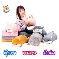 ราคา หมอนผ้าห่ม ตุ๊กตา หมู หนู แฮมเตอร์ ผ้าห่มนาโน 1 x1.6 m ตุ๊กตายาว 45 cm หมอนตุ๊กตาลายปักอย่างดี ผ้านุ่มมาก doll ZumoIX คําแนะนําผลิตภัณฑ์ใหม่ของเดือนนี้ (1734349757950428940)