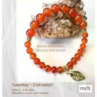 ราคา 02-Carnelian-Tuesday สร้อยข้อมือหินประจำวันอังคาร คาร์เนเลี่ยน เสริมพลังใจความกล้า Boosts motivation, Bravery and action จัดส่งฟรี กทม (1734368650767467916)