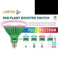 ราคา หลอดไฟ ปลูกต้นไม้ Led par38 Plant Booter switch 30w Lamptan (1731450213329897688)