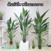 ราคา ต้นเบิร์ด แต่งบ้าน (พร้อมกระถางดำ) ต้นไม้ปลอมแต่งบ้าน สีสดเหมือนจริง ต้นไม้แต่งสวน( พร้อมส่ง) plant L-(JLR) COD สินค้าขายดี (1733077156876945068)