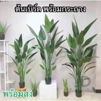 ราคา ต้นเบิร์ด แต่งบ้าน (พร้อมกระถางดำ) ต้นไม้ปลอมแต่งบ้าน สีสดเหมือนจริง ต้นไม้แต่งสวน( พร้อมส่ง) plant L-(JLR) ของดีบอกต่อ ขาย ร้อน (1733078206796891526)