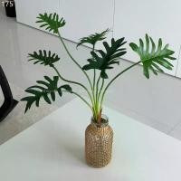 ราคา [พร้อมส่ง] Jnihouse : กิ่งต้นซานาดู (Xanadu Plant)(Tree) COD สินค้าขายดี (1733077200486893228)