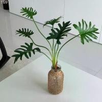 ราคา [พร้อมส่ง] Jnihouse : กิ่งต้นซานาดู (Xanadu Plant)(Tree) สินค้าขายดี คลังสินค้า (1733077762680915708)