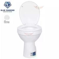 ราคา ชักโครก Blue diamond โถส้วมนั่งราบ แบบราดน้ำ รุ่น FH 3140 สีขาว สีฟ้า ตีลังไม้ทุกชิ้น พร้อมส่งทันที toilet (1733492310465611660)