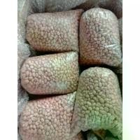 ราคา ถั่วลิสง พันธุ์ไทนาน9 สำหรับทำเมล็ดพันธุ์และเพาะงอก 0.9 กก. / Kg.-Tainan9 Peanuts Seed (For Growth & Sprout) (1734333134536214148)