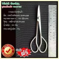 ราคา bonsaiอุปกรณ์บอนไซ กรรไกรตัดแต่งกิ่งบอนไซ สแตนเลส ขนาดเล็ก 7 นิ้ว ตัดแต่งบอนไซ กิ่งขนาดเล็กสำหรับไม้จิ๋ว บอนไซต้นเล็ก Bonsai Tools Long Handle Sc (1733912721682367542)