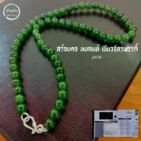 ราคา จี้หยกมหัศจรรย์Stonehouse สร้อยคอ แขวนจี้ แขวนพระ หยก เขียวจักรพรรดิ์ ( jade Emperor green ) หยกแท้ ขนาด 6-8 มม. สร้อยพระ สร้อยหิน สร้อยหยก หยกจักรพรรดิ์ หยกเขียว (1733904191353095894)