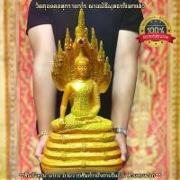 ราคา Certified productsพระพุทธชนะมาร ปางนาคปรก สีทองรั้วจีวรลายดอกพิกุล หน้าตัก9นิ้ว องค์ใหญ่มาก บูชาเสริมสิริมงคลอำนาจบารมี พระพุทธรูปคู่บ้านค (1732927330859059195)
