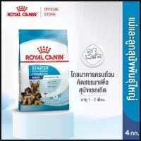 ราคา Royal Canin Maxi Starter Mother&Baby Dog4kg อาหารเม็ดแม่สุนัขและลูกสุนัขหย่านม พันธุ์ใหญ่ อายุ 1-2 เดือน คําแนะนําการขายที่ร้อนแรงในเดือนนี้ (1734309070924907566)