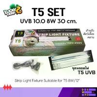 ราคา Lucky herp T5 Set UVB 10.0 8W 30cm ชุดหลอดไฟ T5 UVB สำหรับสัตว์เลื้อยคลาน สัตว์ที่ต้องตากแดด (1734346417939187146)