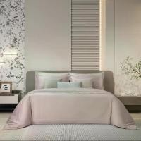 ราคา A PASAYA BAZICS - ชุดผ้าปูที่นอน+ปลอกหมอนหนุน 6ฟุต (KING) 5ฟุต (QUEEN) 3.5ฟุต (SINGLE) ORDINARY 800 SERIES (1733772471323559788)