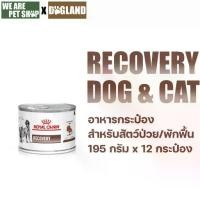 ราคา Royal Canin Vet Dog 12 กระป๋อง Recovery หมาแมวพักฟื้น (195g*12 กระป๋อง) (1734359576207787341)