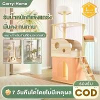 ราคา COD. Cat condo, cat tree condo, big cat condo, Big Cat Hole, height 200cm. (1733612616663139428)