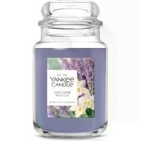 ราคา Yankee Candle Lavender Vanilla, Scented Candle, 22oz Large Jar with up to 150 Hour Burn Time, Giftable (1733732266901931308)