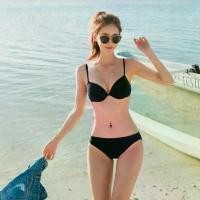 ราคา 2026 Women's Summer Two-Piece Sexy Push-Up Hot Spring Swimsuit Black Three-Point High-Waist Bikini Model Art Exam Swimsuit (1733903547343210292)