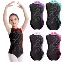 ราคา เด็กผู้หญิง ชุดบอดี้สูทแขนกุด Rhinestone, YOOJIA, เหมาะสำหรับการเต้นรำบัลเล่ต์, ยิมนาสติก, สเก็ตน้ำแข็ง, และ Unitard, ชุดจั๊มสูท, ชุดเต้นรำ, ชุดแฟนซี (1731244408724294400)