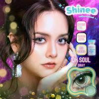 ราคา Shineelens Oh soul คอนแทคเลนส์ (1731653049504073035)