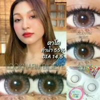 ราคา Kitty Kawaii Oh soul Gray , Brown คอนแทคเลนส์ ค่าน้ำ 55% (1729591747185117580)