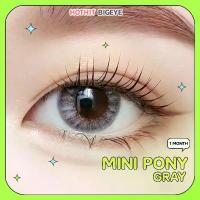 ราคา Candylens คอนแทคเลนส์ รุ่น Mini Pony สีเทา พร้อมส่งแบบปกติ และค่าสายตาสั้น 0.00-7.00 (1729534877241542685)