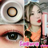 ราคา Sakura Brown คอนแทคเลนส์ ตาโต (สายตา -50 ถึง -1000) Contactlens ดวงตา (1731367383940172172)