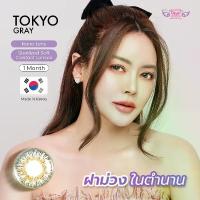 ราคา คอนแทคเลนส์ Dreamcolor1 รุ่น Tokyo Gray สีเทา (ชนิดรายเดือน) สายตาปกติและค่าสายตา (1729614013386754863)