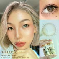 ราคา ❤️คอนแทคเลนส์ Silicone Hydrogel ❤️ขนาดกลาง Mellow (Mayalens Premium) สี : Brown / Gray (1731003508466748003)