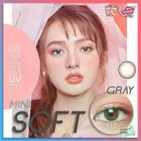 ราคา Kitty Kawaii Contact Lens : Mini Soff Gray คอนแทคเลนส์ คอนแทคเลนส์รายเดือน 1 คู่ (1733315041978647677)