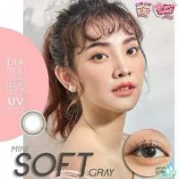 ราคา Kitty Kawaii Contact Lens : Mini Soff Brown คอนแทคเลนส์ คอนแทคเลนส์รายเดือน 1 คู่ (1733314084561912957)
