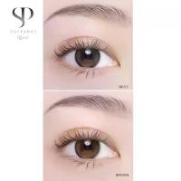 ราคา คอนแทคเลนส์ Mini Julia Brown/Gray (Kitty Kawaii) รุ่นฮิตล่าสุด ตาฟิลเตอร์ เเบบสาวเกาหลี (1729643130565593398)