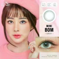 ราคา "มีค่าสายตา" คอนแทคเลนส์ : Mini Bom ขนาดมินิ ความธรรมชาติสวยละมุน สวยหวาน (1729589139801672587)