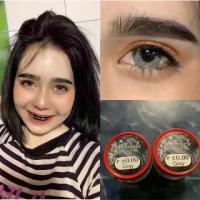 ราคา Emmanuelle Gray คอนแทคเลนส์ บิ๊กอาย สีเทา Pitchy ฝาแดง Contact Lens Bigeyes ลายฮิต tiktok Emquatier (1729577910266202411)