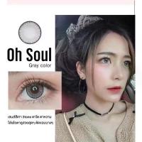 ราคา Oh Soul Gray / mini Oh Soul Gray บิ๊กอาย สีเทา Kitty Kawaii มินิ Contact Lens Bigeyes คอนแทคเลนส์ ค่าสายตา สายตาสั้น (1731679054174783922)