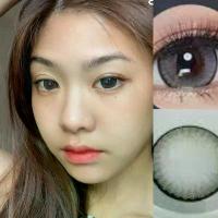 ราคา [Nar-s] brown gray สายแบ๊ว ตากลมโต สายตาปกติ สายตาสั้น บิ๊กอายขนาดตาโต Big กรองแสง uv (บิ๊กอาย คอนแทคเลนส์ Bigeye) (1729610268019624866)