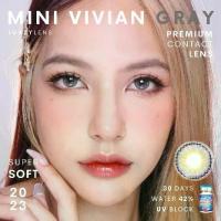ราคา คอนแทคเลนส์✨ขนาดมินิ✨Gray✨Mini Vivian (Luxzylens) (1729796148146375181)