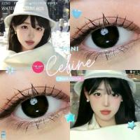 ราคา คอนแทคเลนส์ Ilens MiniCeline เลนส์ธรรมชาติ สาวเกาหลี ใส่ได้ทุกโอกาส มีปลายทาง ดวงตา (1730117009039002028)