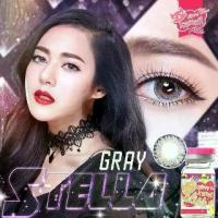 ราคา Kirei Gray บิ๊กอาย สีเทา ตาโต โทนแบ๊ว Kitty Kawaii Contact Lens Bigeyes คอนแทคเลนส์ ค่าสายตา สายตาสั้น Baby Doll (1730410123261085995)