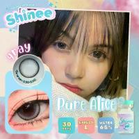 ราคา คอนแทคเลนส์ ขนาดบิ๊กอายโตมาก สี Brown/Gray รุ่น Pure alice (Shinee) (1729765302696577363)