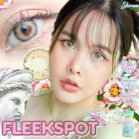 ราคา คอนแทคเลนส์ ขนาดกลาง Fleek Spot (Shinee) (1730379551875500371)