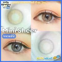 ราคา คอนแทคเลนส์ Mini Sheer น้ำตาล / เทา (Kitty Kawaii) ขนาดมินิ เท่าตา สายฝอ (1729689237804059189)