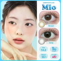 ราคา *มีสายตา* คอนแทคเลนส์ Mio เทา/น้ำตาล (Kitty Kawaii) ขนาดมินิ คล้าย Olens Shine Touch (1731272800505924149)