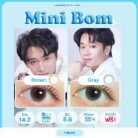 ราคา *มีสายตา* คอนแทคเลนส์ Mini Bom น้ำตาล / เทา (Kitty Kawaii) ขนาดมินิ เท่าตา เนียน (1729644031670585909)
