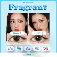 ราคา *มีสายตา* คอนแทคเลนส์ Fragrant เทา/น้ำตาล (Kitty Kawaii) ตาโต บิ๊กอาย ฟอรั่ม ดรีม ตาลูกแก้ว กรองแสง ค่าอมน้ำสูง (1729998817214630453)