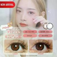 ราคา คอนแทคเลนส์✨ขนาดมินิ✨Brown / Gray✨ Mini Sugar (Montra) Bigeyebybellies (1729802161415752205)