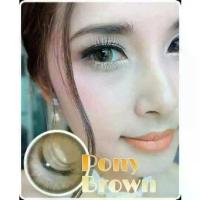 ราคา คอนแทคเลนส์ ขนาดบิ๊กอาย BrownPony / Pola (Wink/Lovely) (1729592895676778514)