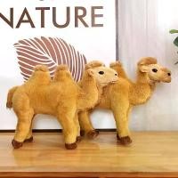 ราคา ตุ๊กตาอูฐ, ของเล่นจำลอง, ตุ๊กตาสวนสัตว์, ตุ๊กตาอูฐทะเลทรายและแอมะซอน, สัตว์ยัดไส้, ของขวัญเดินทาง, ของที่ระลึก, เหมาะสำหรับเด็ก (1732779063411509138)