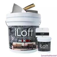 ราคา iLoft MIXED สีปูนขัดมันผสมเสร็จ พร้อมใช้งาน สี ลอฟท์ No.3 Dark สินค้าแนะนำ (1734386196462928905)