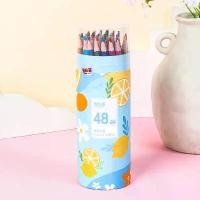 ราคา [จัดส่งทันที] ดินสอสีลบได้ ดินสอสี สี 48 สี ชุดดินสอสี แบบแท่งยาว ดินสอสีไม้ ดินสอสี กระบอกกลม สีไม้กระปุก สีไม้แท่งยาว พร้อมส่ง สินค้าอยู่ไทย (1733059399831225985)