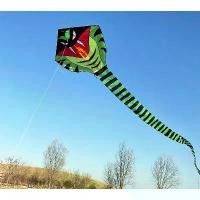 ราคา โปรโมชั่น ว่าวงูใบไม้เขียวขนาดใหญ่ ระดับสูง สำหรับผู้ใหญ่ เด็ก ผู้เริ่มต้น งูหางยาว ง่ายต่อการบิน รูปสามเหลี่ยม (1734172200022279730)