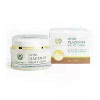 ราคา Nature's Beauty Ovine Placenta Night Creme ครีมรกแกะลดริ้วรอยสูตรกลางคืน เกรดพรีเมี่ยม จากประเทศนิวซีแลนด์ ขนาด 50ml. (1734405571400074768)